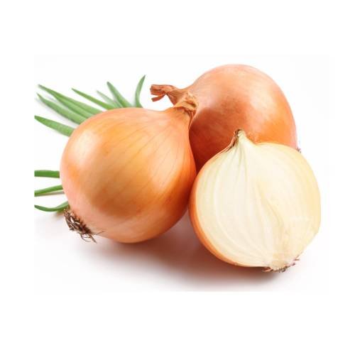 Onion-img1